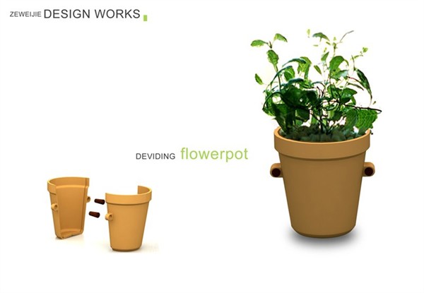 Dividing Flowerpot!