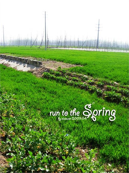 Run to the Spring
