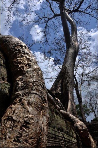 Angkor Cambodia 